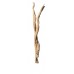 GHOSTWOOD BRANCHY Sanded 48" - OUT OF STOCK - CA ONLY